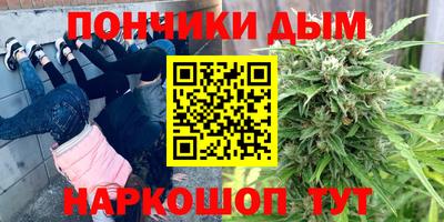 сатива Бийск