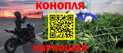 сатива Бийск