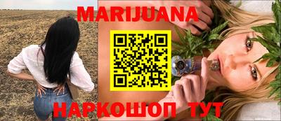 сатива Бийск