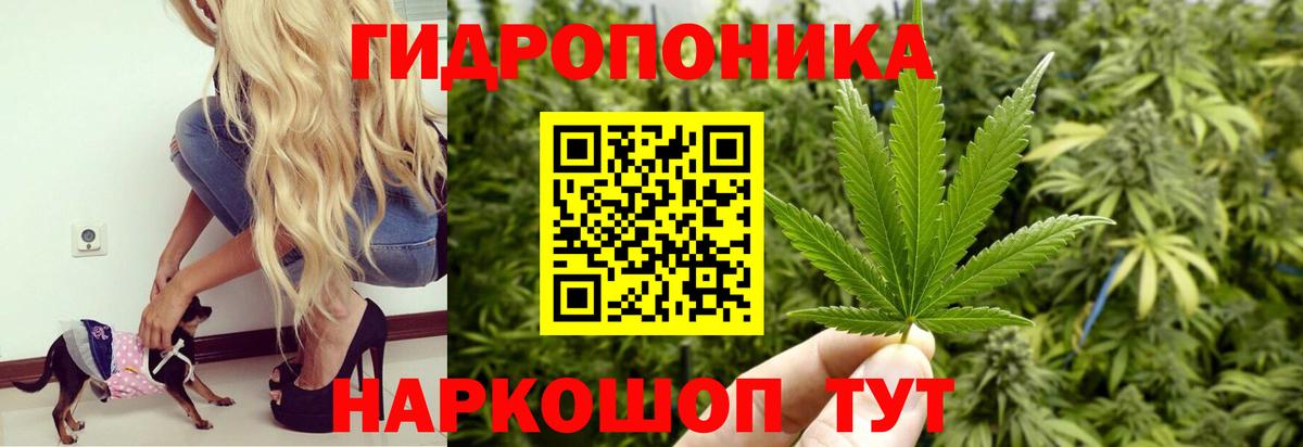 МАРИХУАНА марихуана Вышний Волочёк